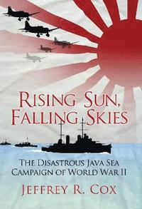 bokomslag Rising Sun, Falling Skies