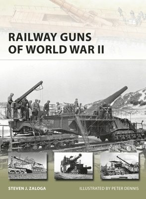 bokomslag Railway Guns of World War II