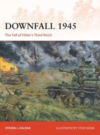 bokomslag Downfall 1945