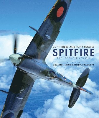 bokomslag Spitfire