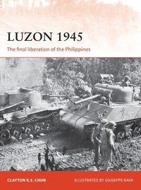 bokomslag Luzon 1945