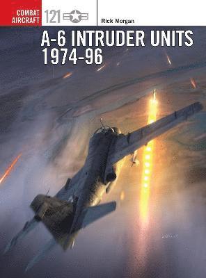 Rick Morgan - A-6 Intruder Units 1974-96, Häftad