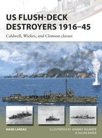 bokomslag US Flush-Deck Destroyers 191645