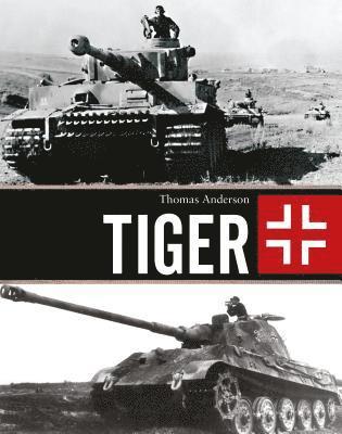 bokomslag Tiger