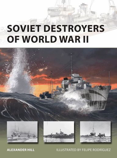 Alexander Hill - Soviet Destroyers of World War II, Häftad