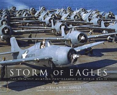 bokomslag Storm of Eagles