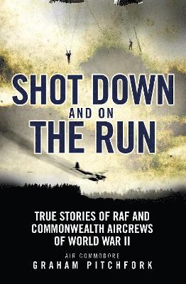 Shot Down and on the Run 1