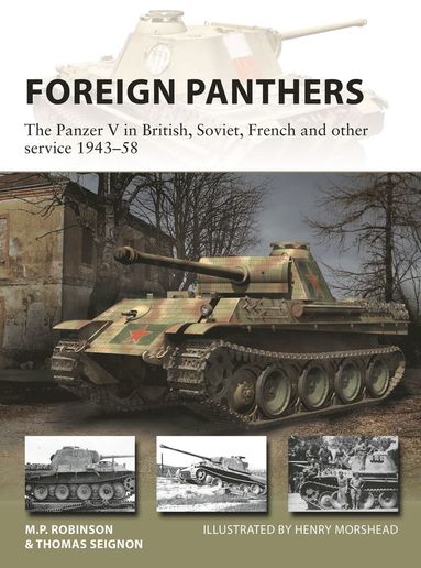 bokomslag Foreign Panthers