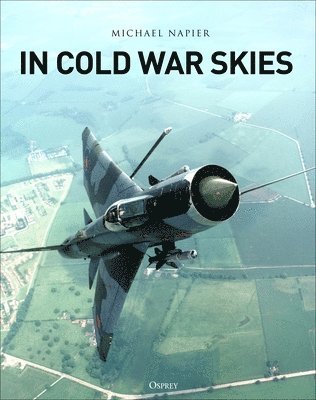 bokomslag In Cold War Skies