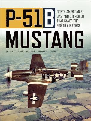 P-51B Mustang 1