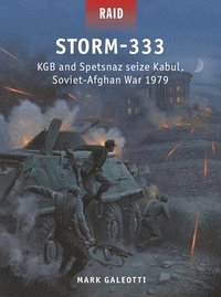 bokomslag Storm-333