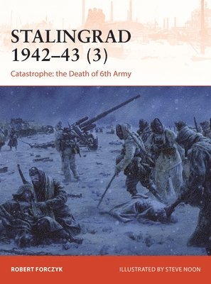 bokomslag Stalingrad 194243 (3)