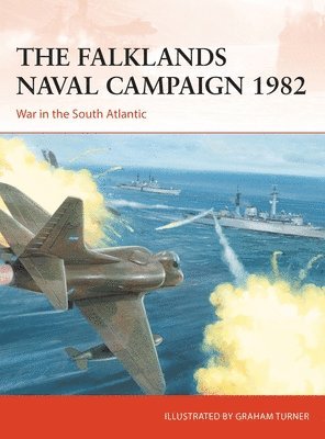 bokomslag The Falklands Naval Campaign 1982