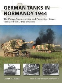 bokomslag German Tanks in Normandy 1944