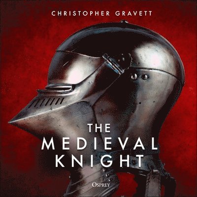 The Medieval Knight 1