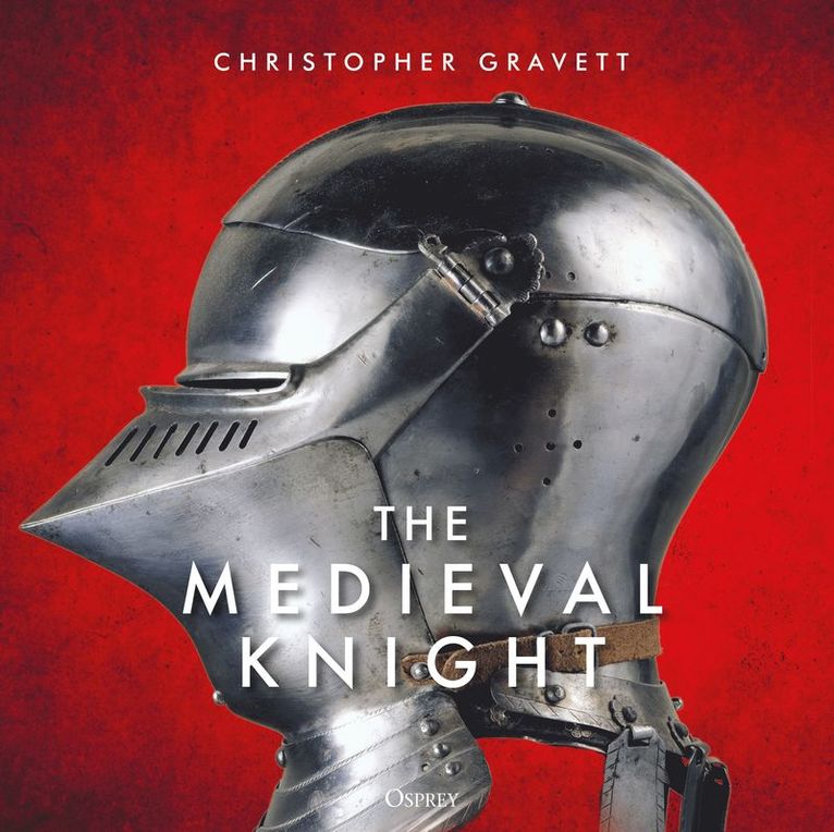 The Medieval Knight 1