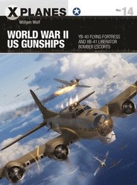 bokomslag World War II US Gunships