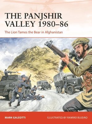 bokomslag The Panjshir Valley 198086