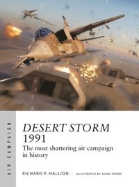 bokomslag Desert Storm 1991