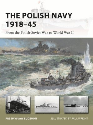 bokomslag The Polish Navy 191845