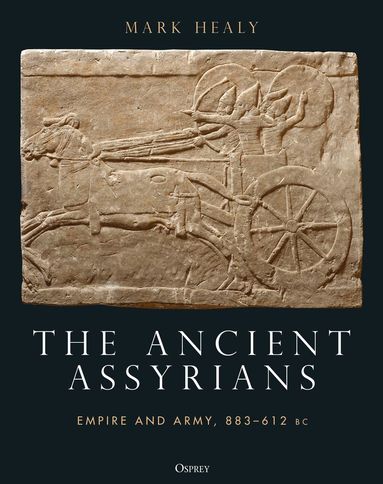 Mark Healy - Ancient Assyrians, Inbunden