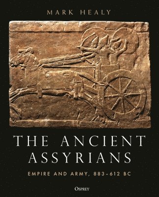The Ancient Assyrians 1