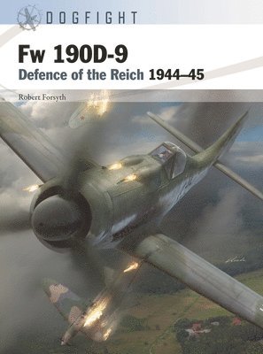 Fw 190D-9 1