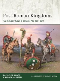bokomslag Post-Roman Kingdoms