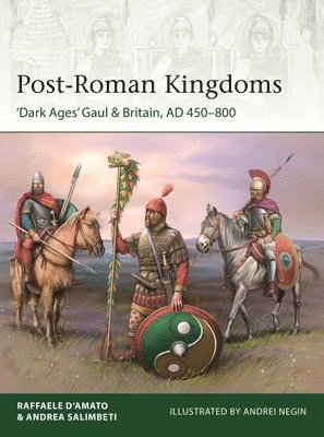 bokomslag Post-Roman Kingdoms