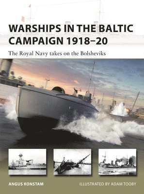 Warships in the Baltic Campaign 191820 1