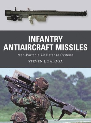 Infantry Antiaircraft Missiles 1
