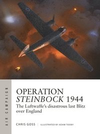 bokomslag Operation Steinbock 1944: The Luftwaffe's Disastrous Last Blitz Over England