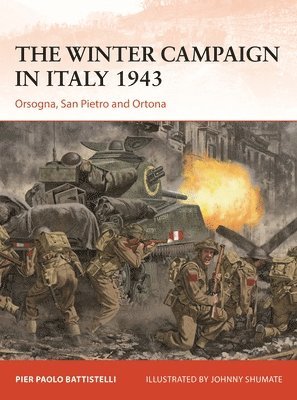 Pier Paolo Battistelli - Winter Campaign in Italy 1943, Häftad