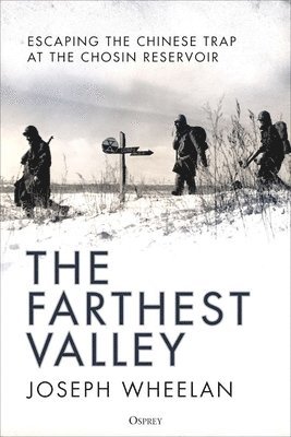 bokomslag Farthest Valley