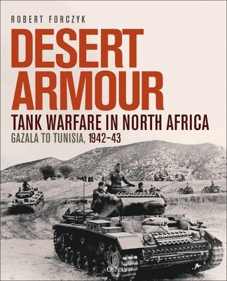 Desert Armour 1