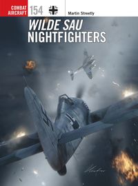 bokomslag Wilde Sau Nightfighters