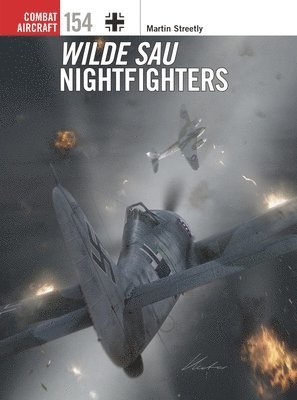 bokomslag Wilde Sau Nightfighters