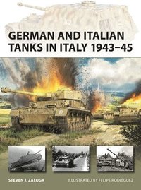 bokomslag German and Italian Tanks in Italy 1943-45