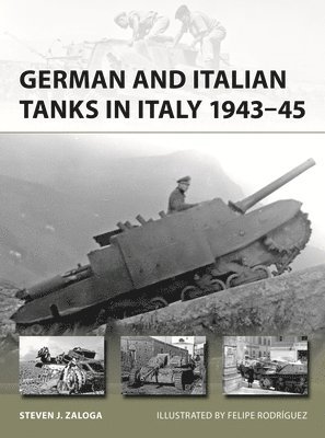 bokomslag German and Italian Tanks in Italy 194345