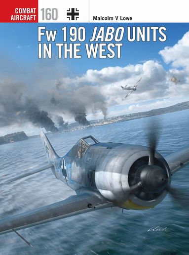 Malcolm V. Lowe - Fw 190 Jabo Units in the West, Häftad