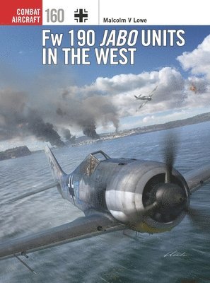 bokomslag Fw 190 Jabo Units in the West