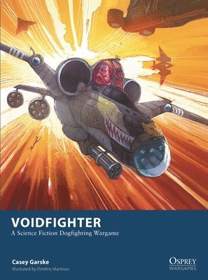 bokomslag Voidfighter