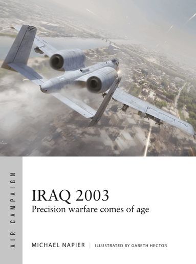 Michael Napier - Iraq 2003, Häftad