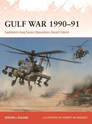 The Gulf War 1990-91 1