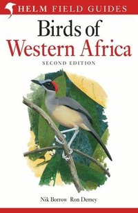 bokomslag Field Guide to Birds of Western Africa