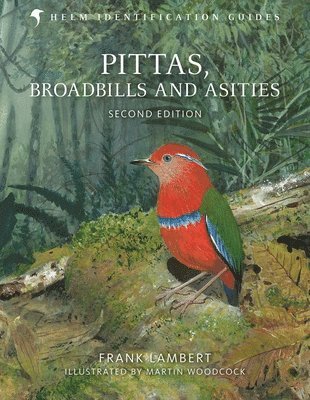 bokomslag Pittas, Broadbills and Asities