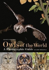 bokomslag Owls of the World - A Photographic Guide