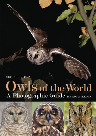 bokomslag Owls of the World - A Photographic Guide