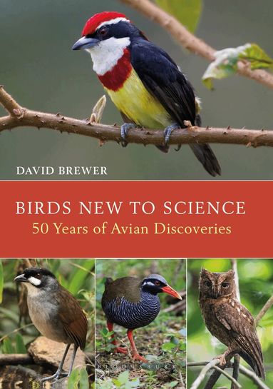 David Brewer - Birds New to Science, Inbunden