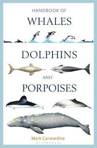 bokomslag Handbook of Whales, Dolphins and Porpoises